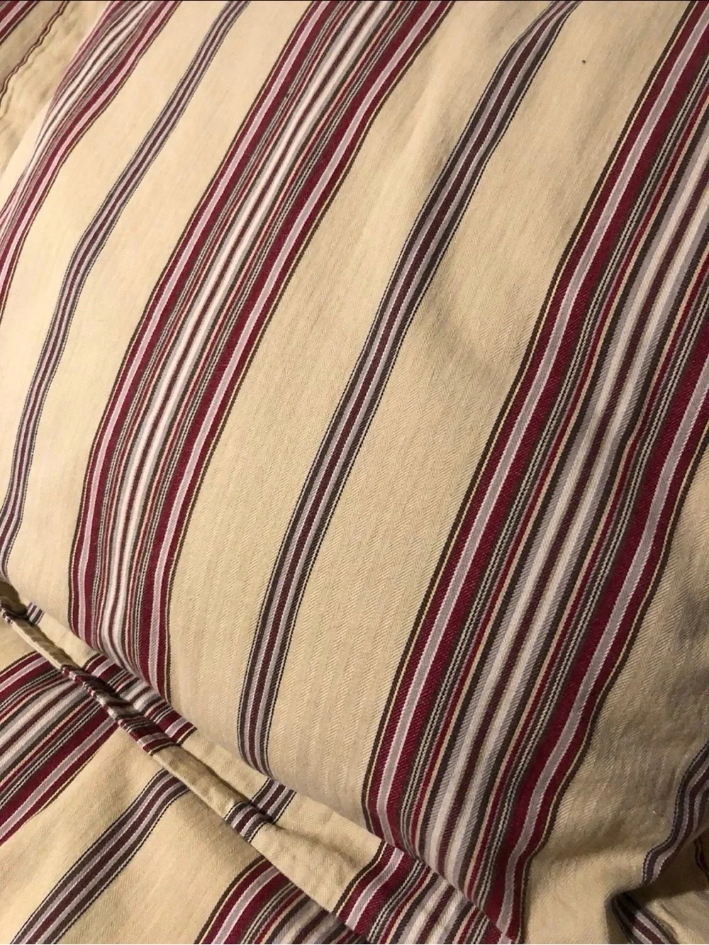 Pottery Barn Montgomery Stripe Duvet and Shams